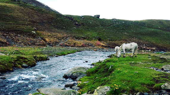 Bhrigu Lake